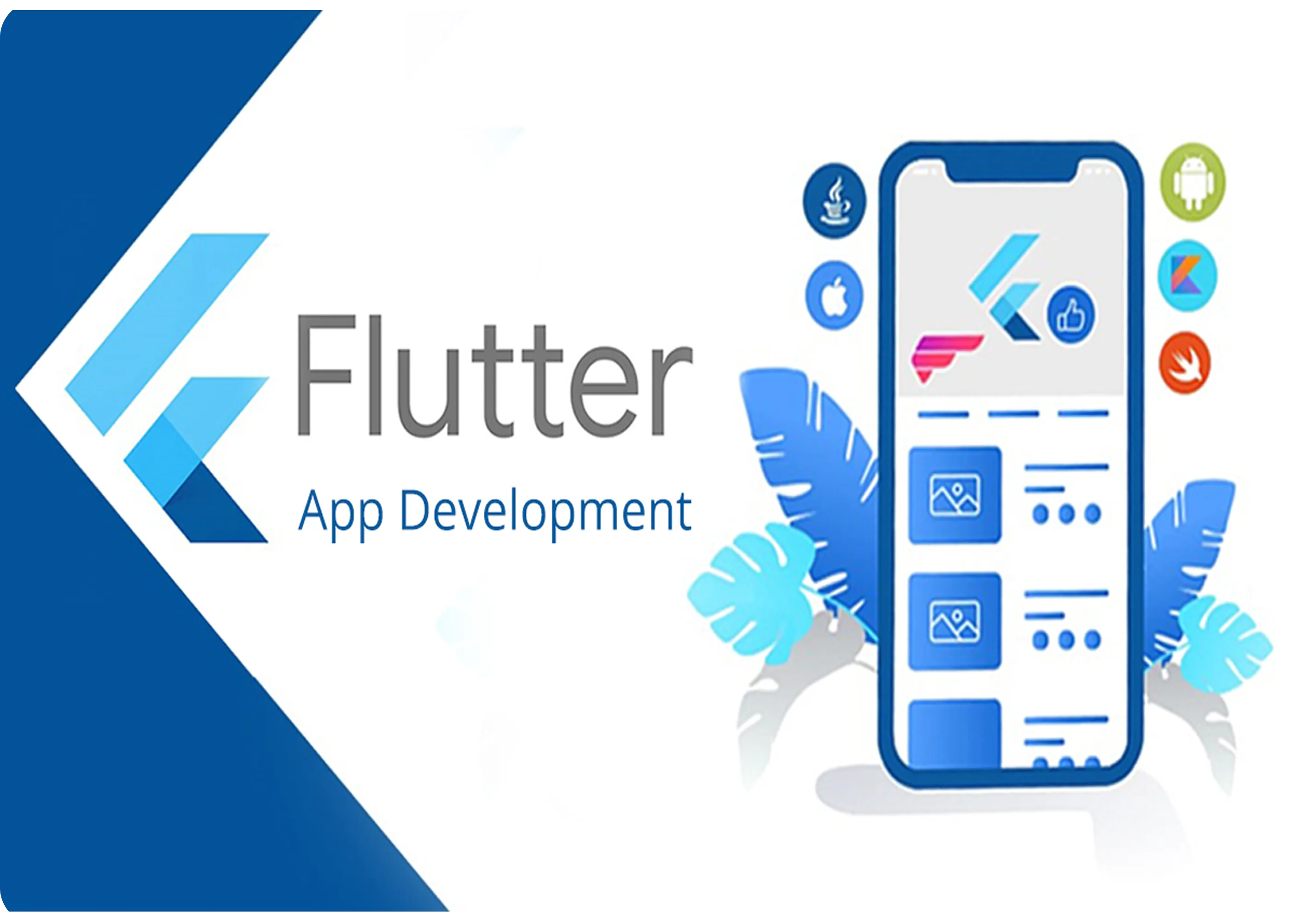 flutter image